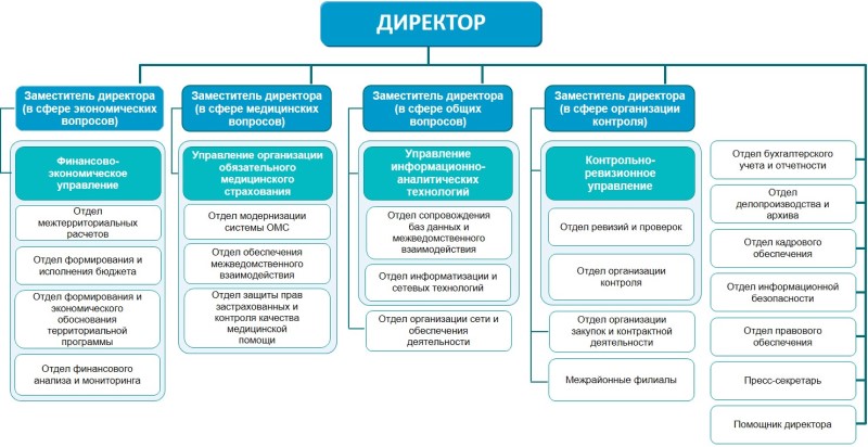 Организационная структура ТФОМС СК
